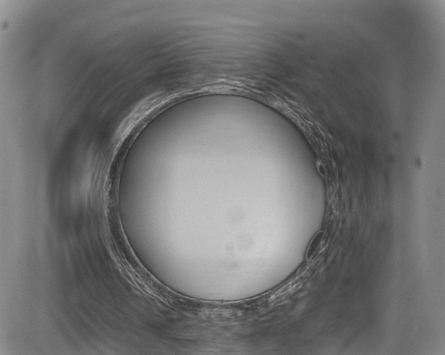 X0000085010242200703051008