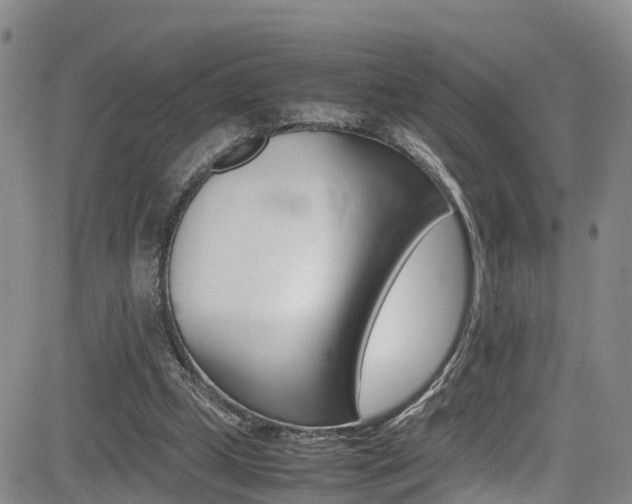 X0000085010249200703051008