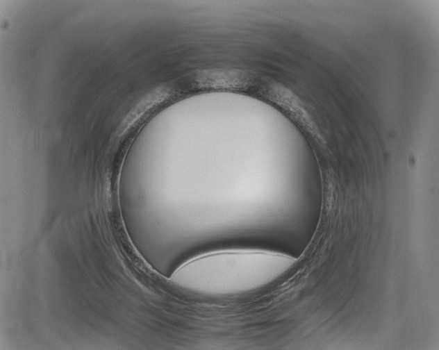 X0000085010251200703051008