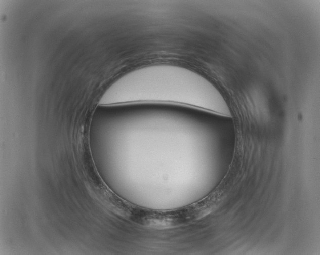 X0000085010263200703051009