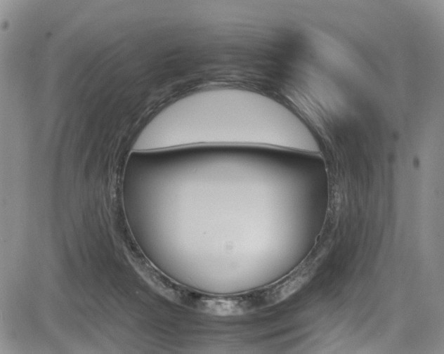 X0000085010265200703051009