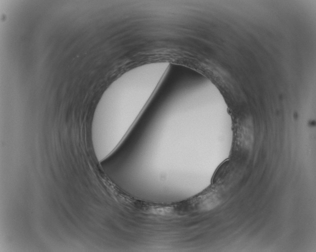 X0000085010283200703051009