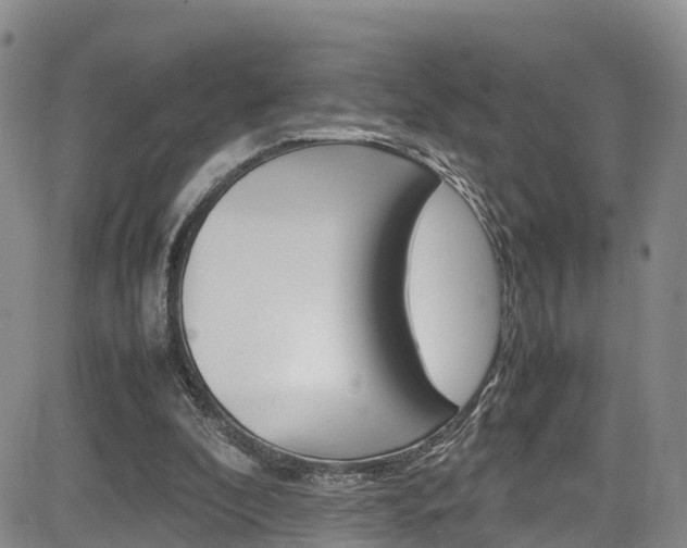 X0000085010296200703051008