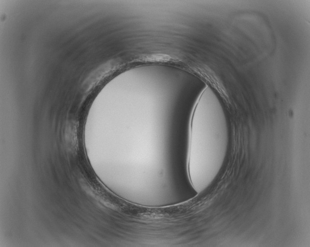 X0000085010300200703051008