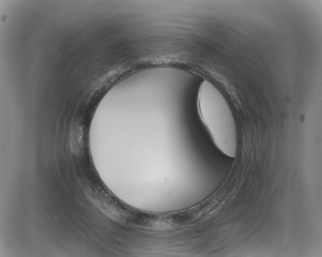 X0000085010308200703051008