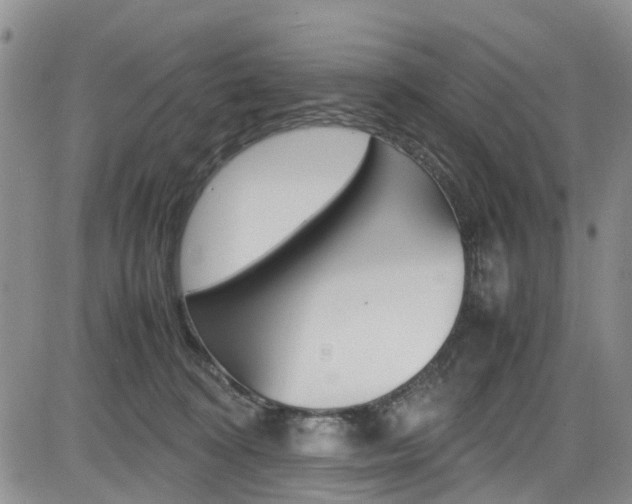 X0000085010324200703051008