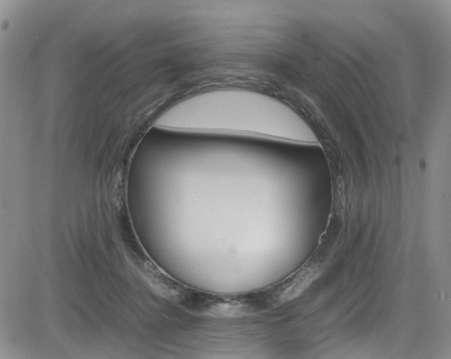 X0000085010364200703051007