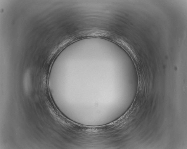 X0000085010394200703051007