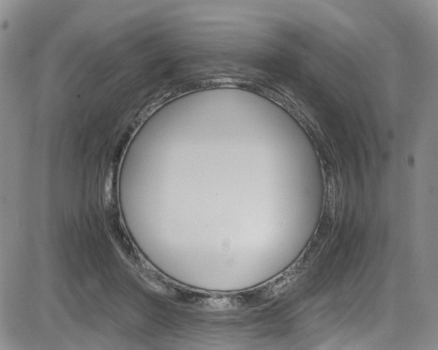 X0000085010406200703051006