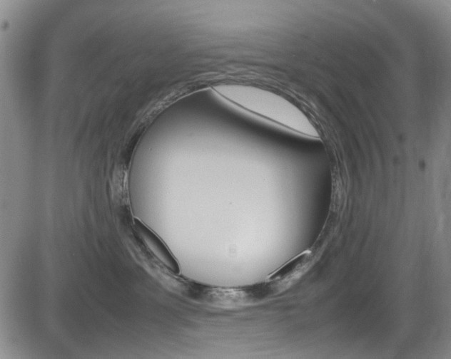 X0000085010429200703051006