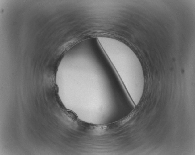 X0000085010474200703051006