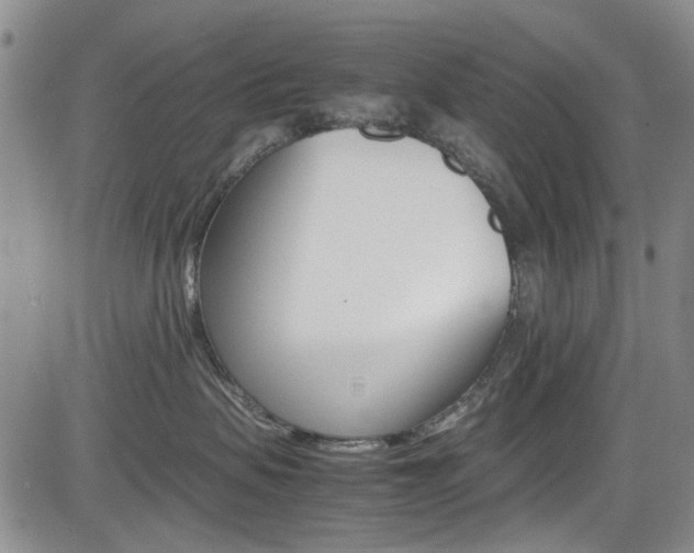 X0000085010479200703051006