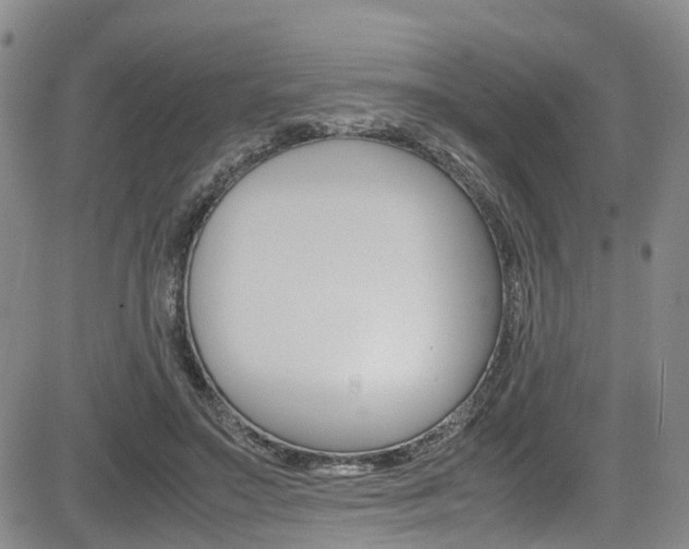 X0000085010499200703051005