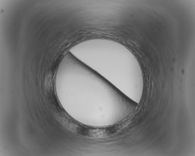 X0000085010511200703051005
