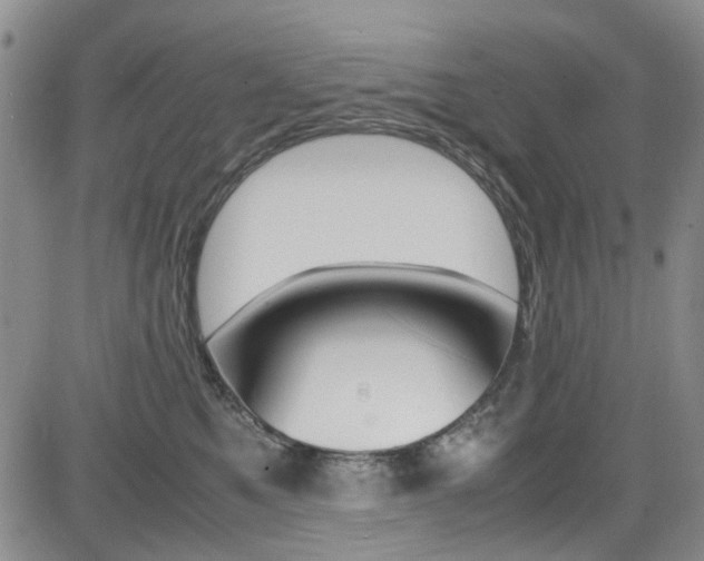 X0000085010521200703051004