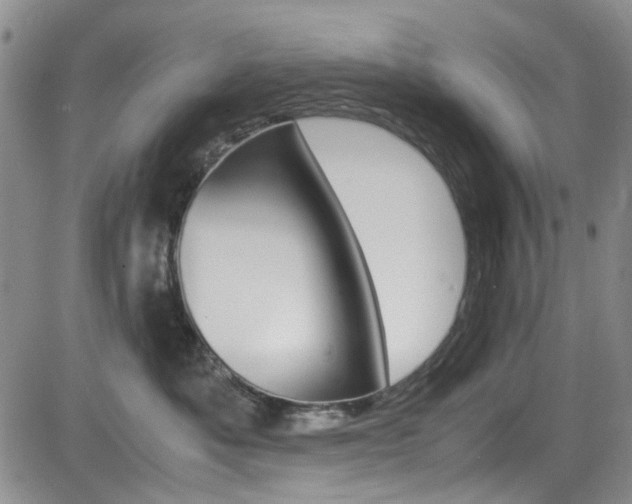 X0000085010525200703051004
