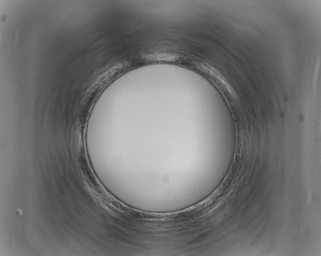 X0000085010541200703051004