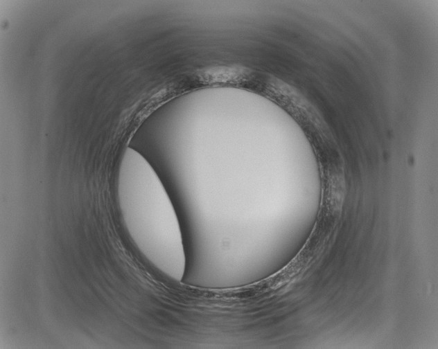 X0000085010545200703051004