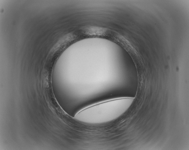 X0000085010547200703051004