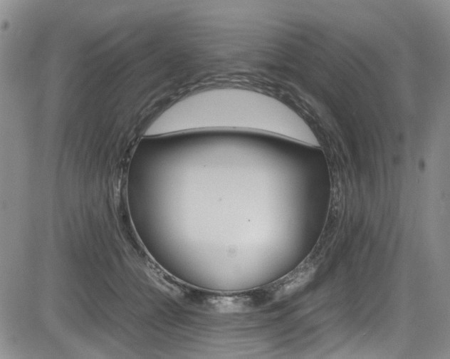 X0000085010558200703051004
