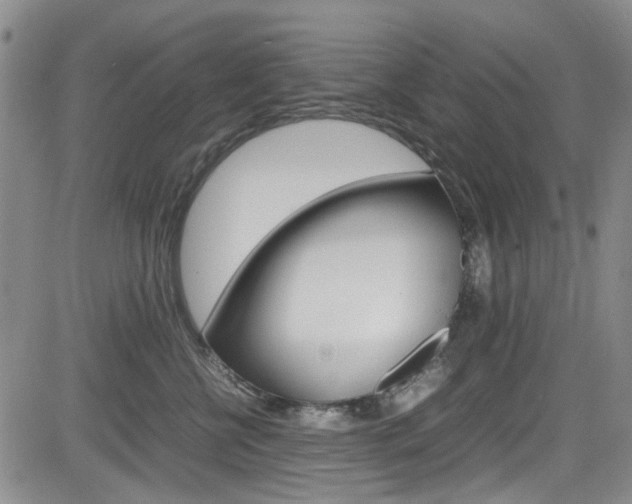 X0000085010570200703051004