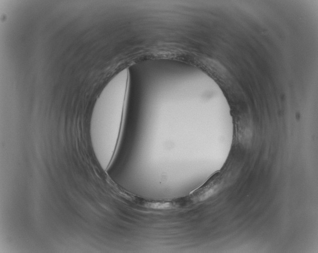 X0000085010575200703051004