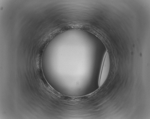 X0000085010604200703051003