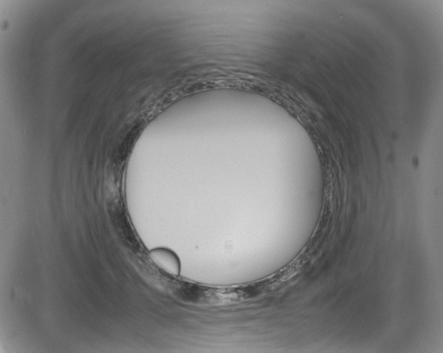 X0000085010607200703051003