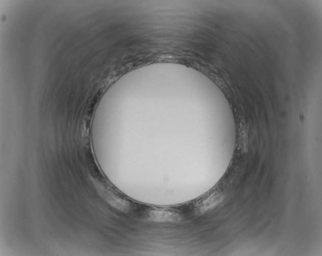 X0000085010614200703051003