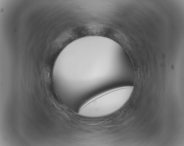 X0000085010615200703051003