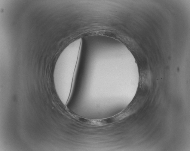 X0000085010623200703051003