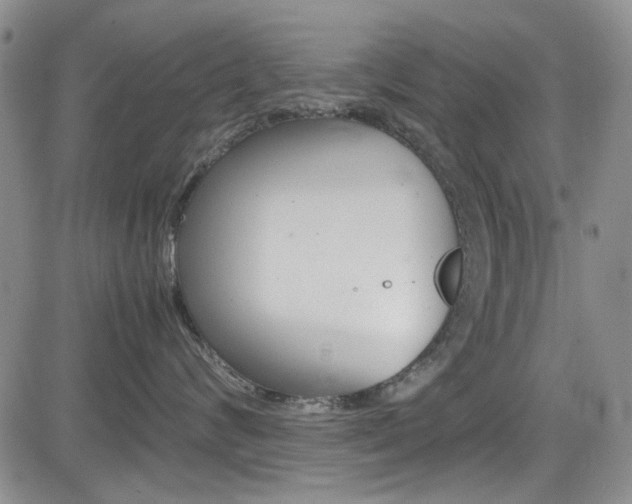 X0000085010624200703051003