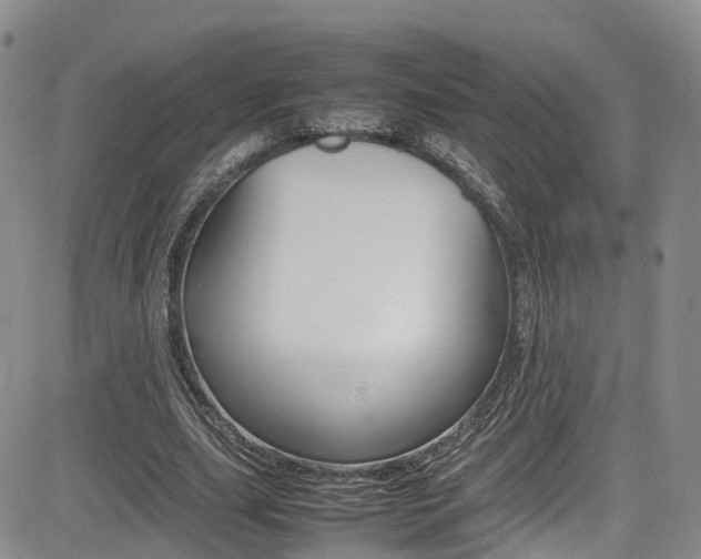 X0000085010631200703051002