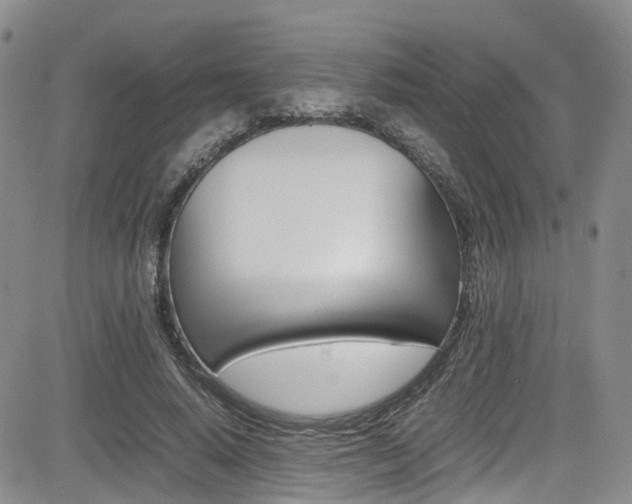 X0000085010640200703051002