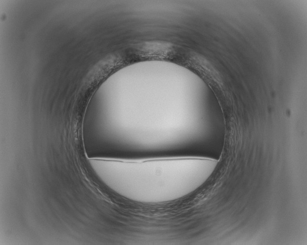 X0000085010641200703051002