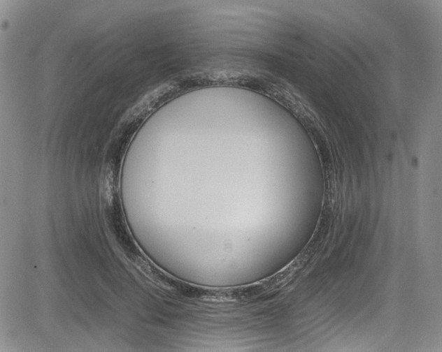 X0000085010644200703051002