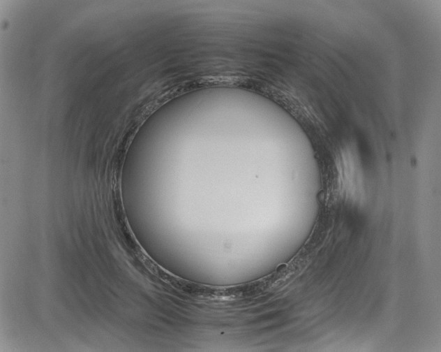 X0000085010647200703051002