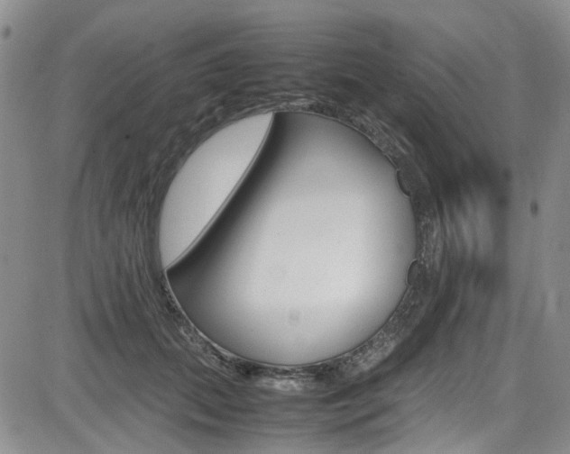 X0000085010655200703051002