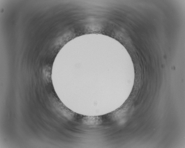 X0000085010672200703051003