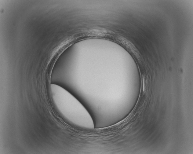 X0000085010675200703051002