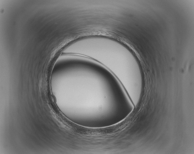 X0000085010677200703051002