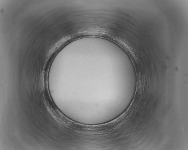 X0000085010678200703051002