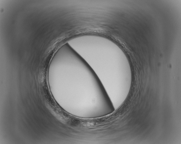 X0000085010687200703051002