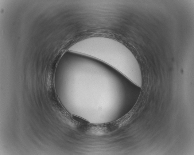 X0000085010708200703051001