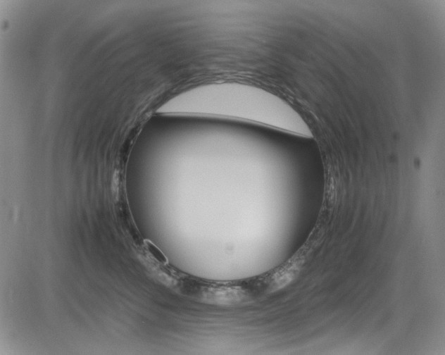 X0000085010716200703051001
