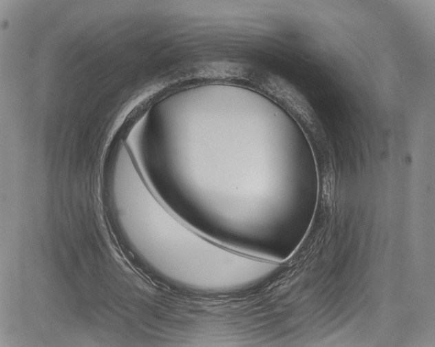 X0000085010724200703051000