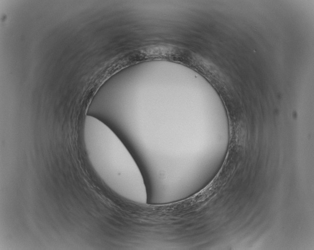 X0000085010737200703051001