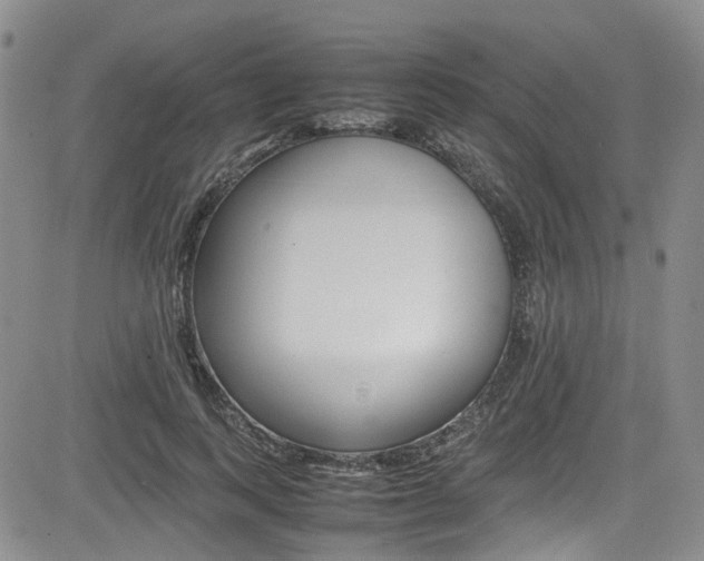 X0000085010743200703051001