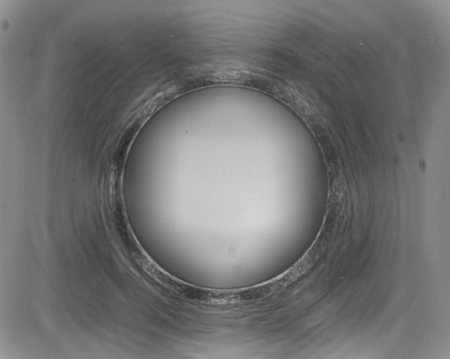 X0000085010744200703051001