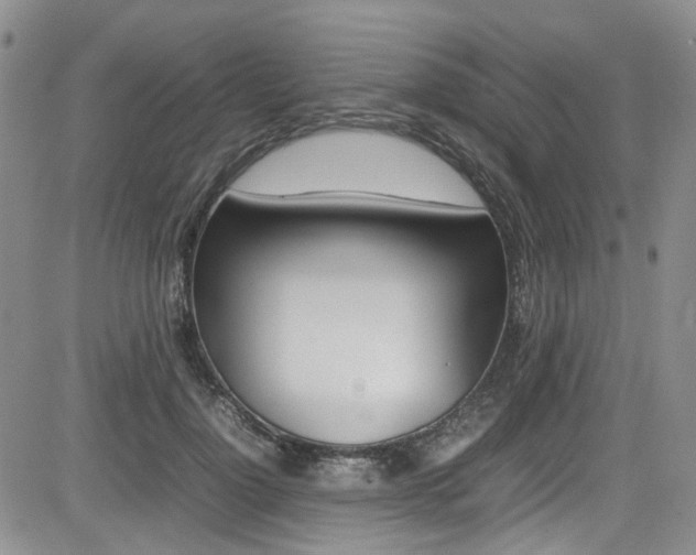 X0000085010748200703051001